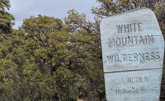 Jorge G.'s photo of camping with pets at Three Rivers Campground near Mescalero, NM