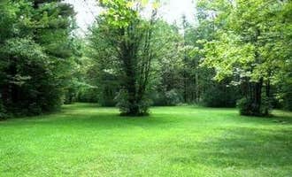 Camping near Taughannock Falls State Park Campground: Potomac Group Campground, Hector, New York