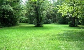 Camping near Pinecreek Campground: Potomac Group Campground, Hector, New York