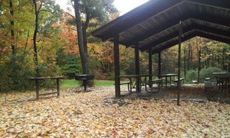 Potomac Group Campground
