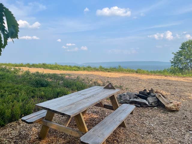 Camper-submitted photo at 100 Mile View Camping near Weatherly, PA