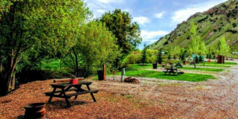 Camper submitted image from Lava Campground