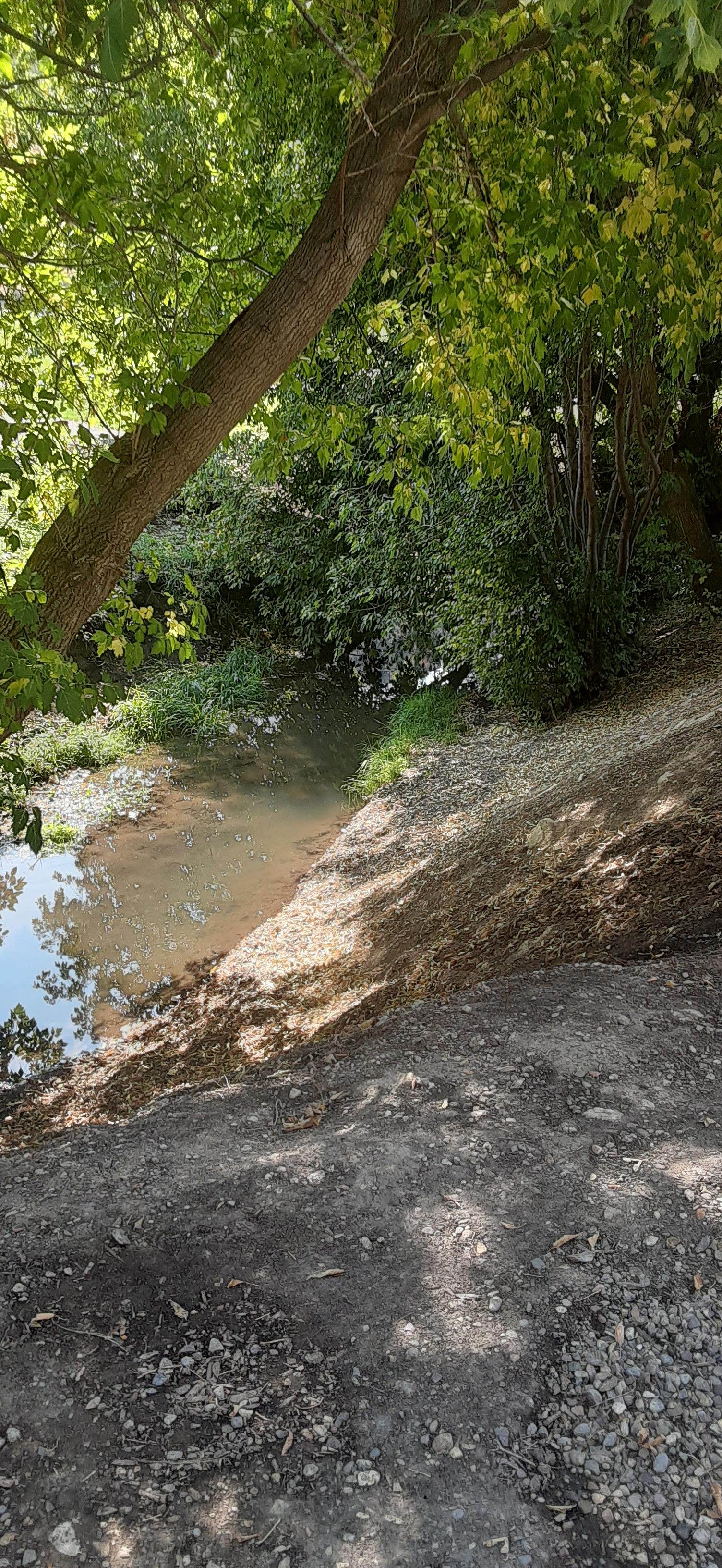 Camper-submitted photo at Lava Campground near Rockland, ID
