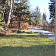 Balsam Mountain Campground — Great Smoky Mountains National Park