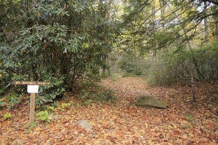 Camper-submitted photo at Briar Bottom Group Campground near Gerton, NC