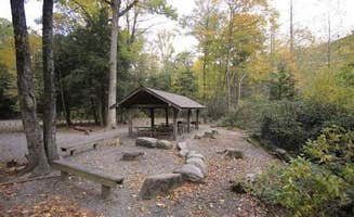The Dyrt's photo of tent camping at Briar Bottom Group Campground near Newland, NC