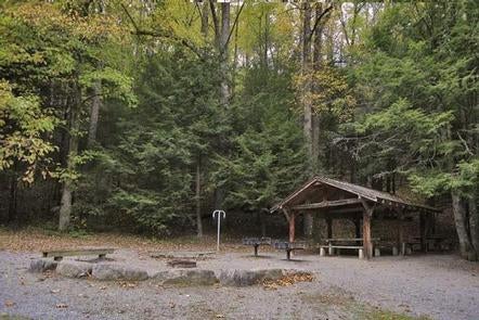 Camper submitted image from Briar Bottom Group Campground - 3