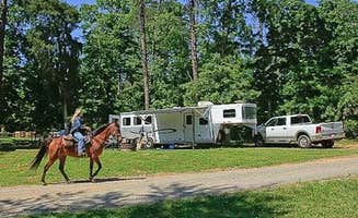 The Dyrt's photo of camping with a horse at Canebrake Horse Camp near Trinity, NC