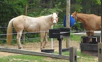 The Dyrt's photo of camping with a horse at Canebrake Horse Camp near Midland, NC