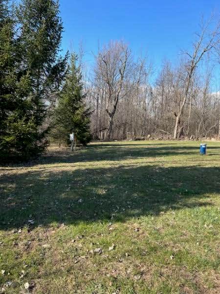 Camper-submitted photo at Johnson RV Sites ( renting only for solar eclipse 2024 ) near Nunda, NY