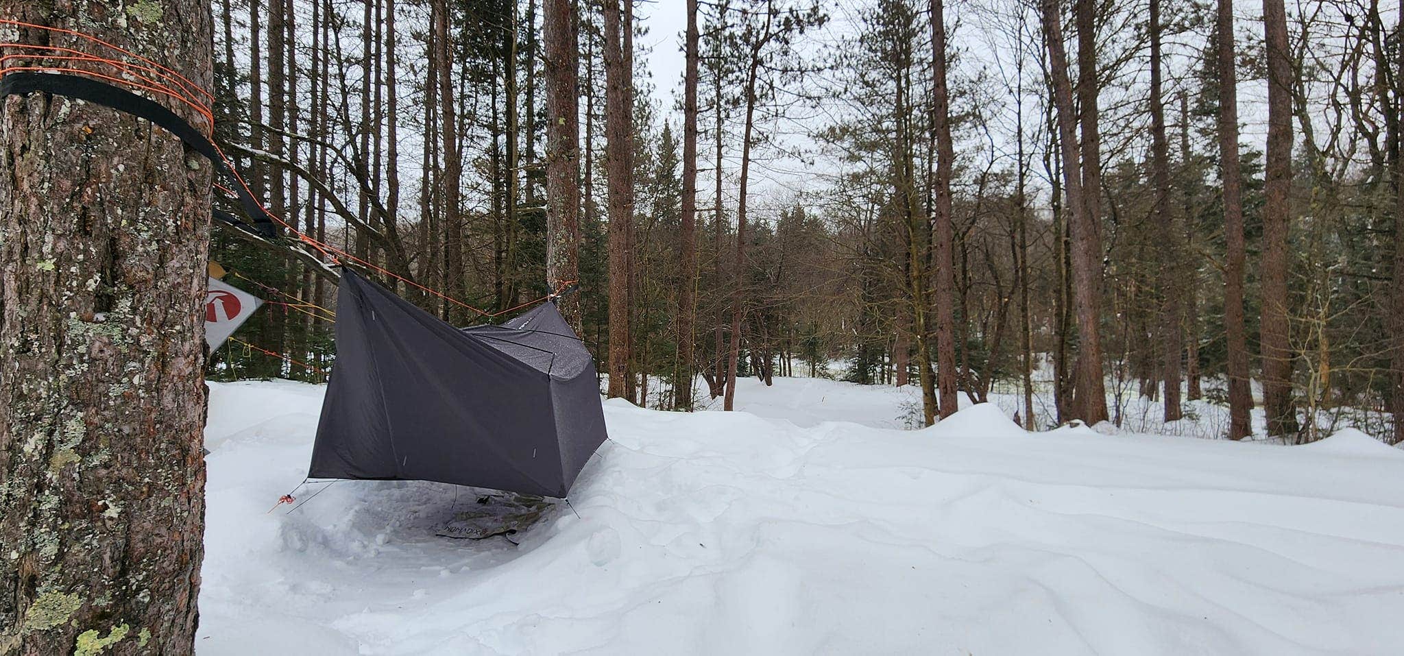 Miccal  M.'s photo of a dispersed camping area at Somerset Airfield near Poultney, VT