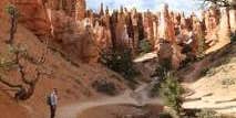 Camper submitted image from Bryce Canyon Shadows Campground