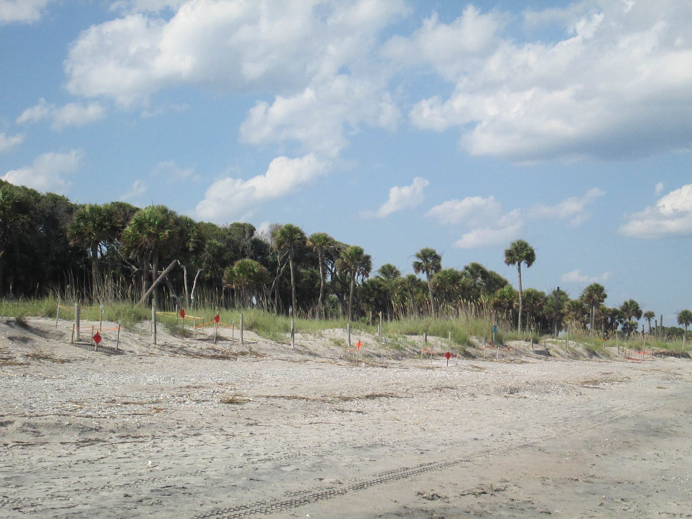 Camper submitted image from Edisto Beach State Park Campground - 3