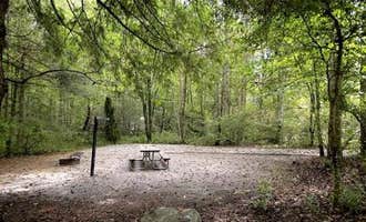 Camping near The Blueberry Barn at Pucker Up Berry Farm: Davidson River Campground, Pisgah Forest, North Carolina