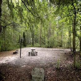 Public Campgrounds: Davidson River Campground