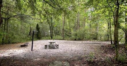 Biltmore Forest photo 5