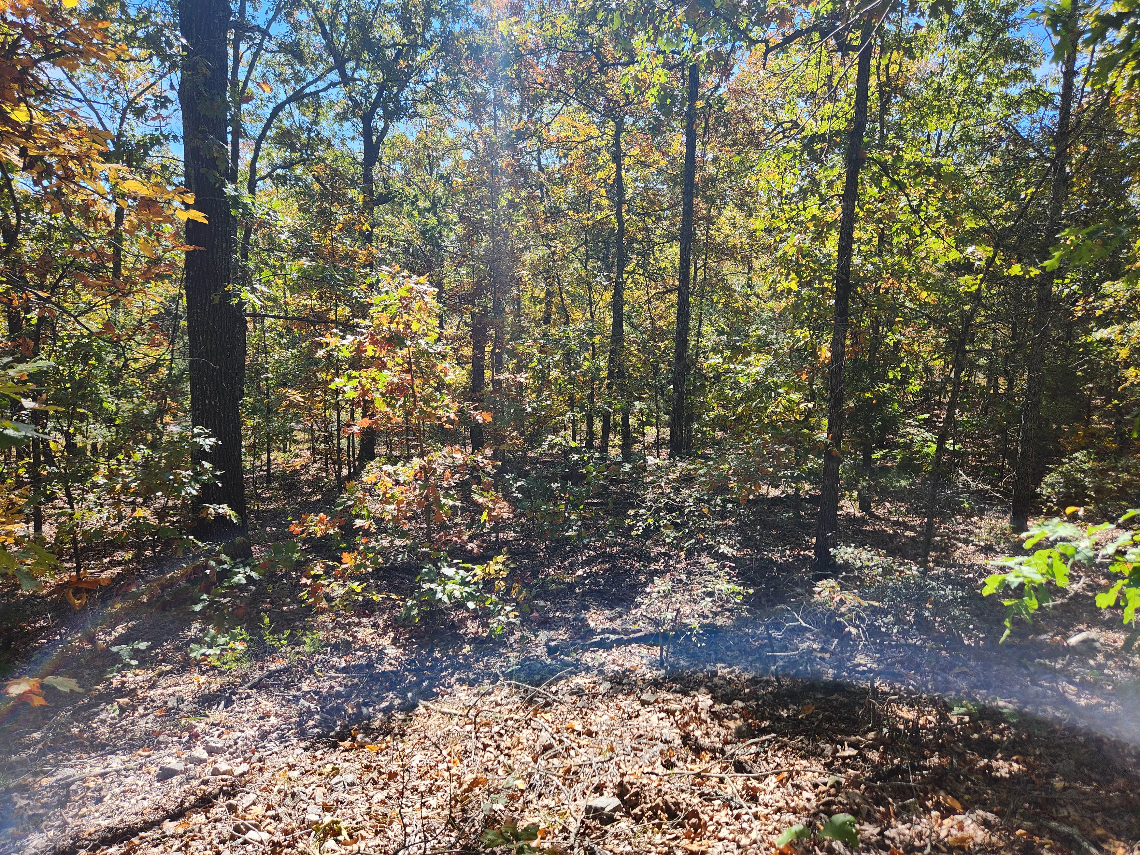 Camping near Salem RV Park: Road Runner Roadside camp, Cherokee Village, Arkansas
