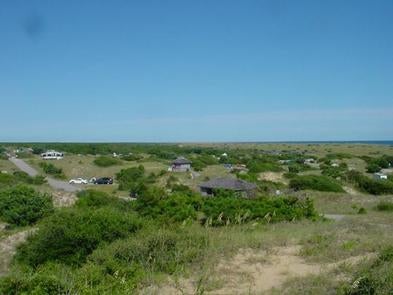 Camper submitted image from Frisco Campground — Cape Hatteras National Seashore - 1