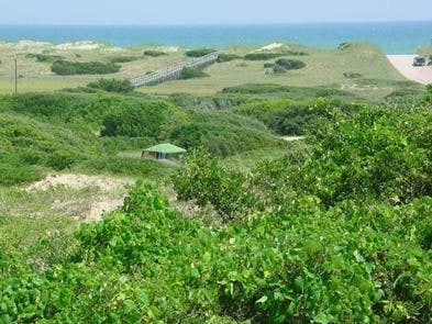 Camper submitted image from Frisco Campground — Cape Hatteras National Seashore - 1