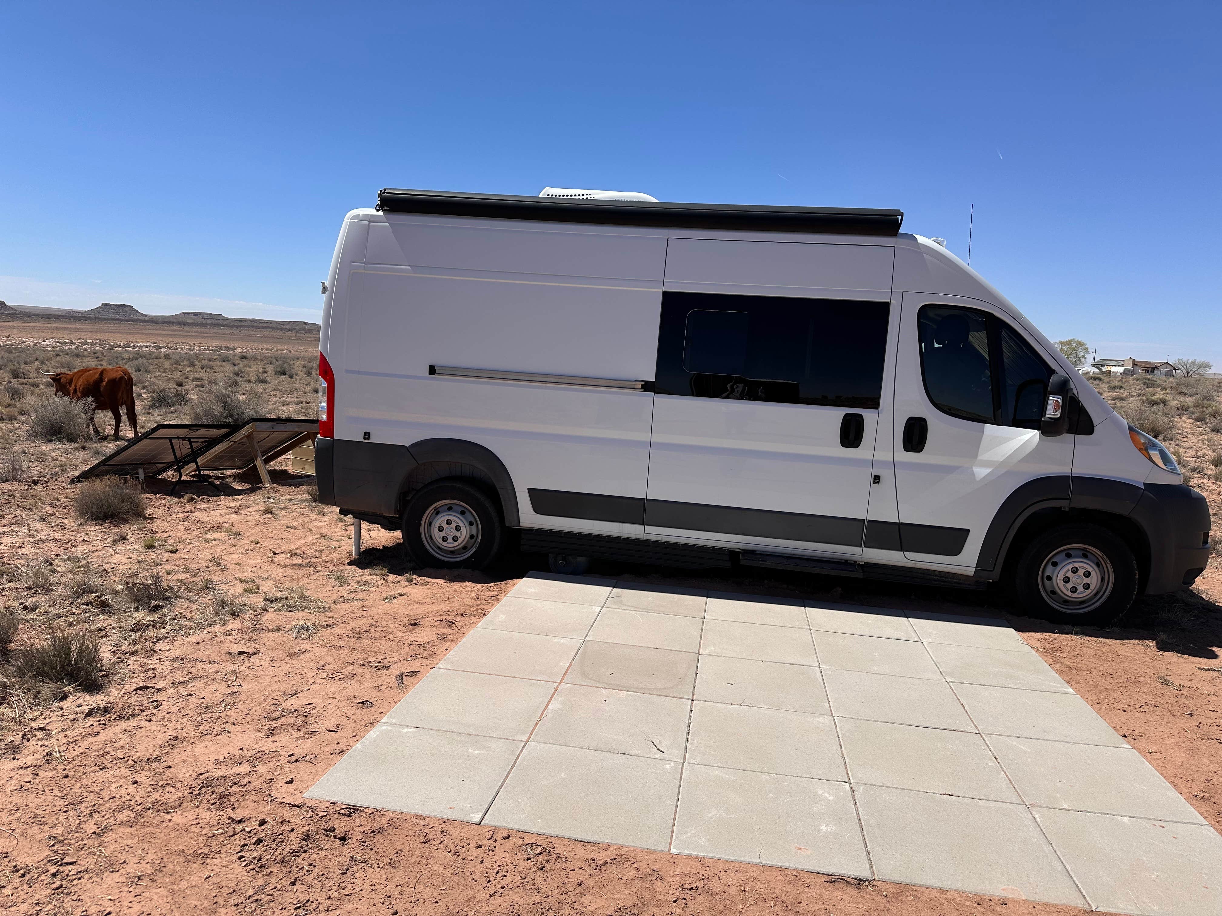 Camping near Holbrook/Petrified Forest KOA: Quail Hallow, Petrified Forest Natl Park, Arizona