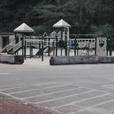 Review photo of Jessie M. Honeyman Memorial State Park Campground by Tim W., September 12, 2016