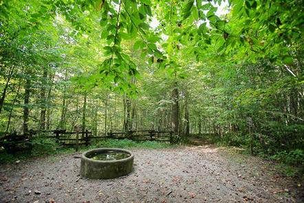 Camper submitted image from Harmon Den Horse Campground - 2