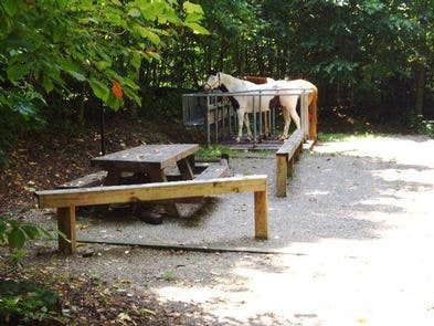 Camper submitted image from Harmon Den Horse Campground - 4