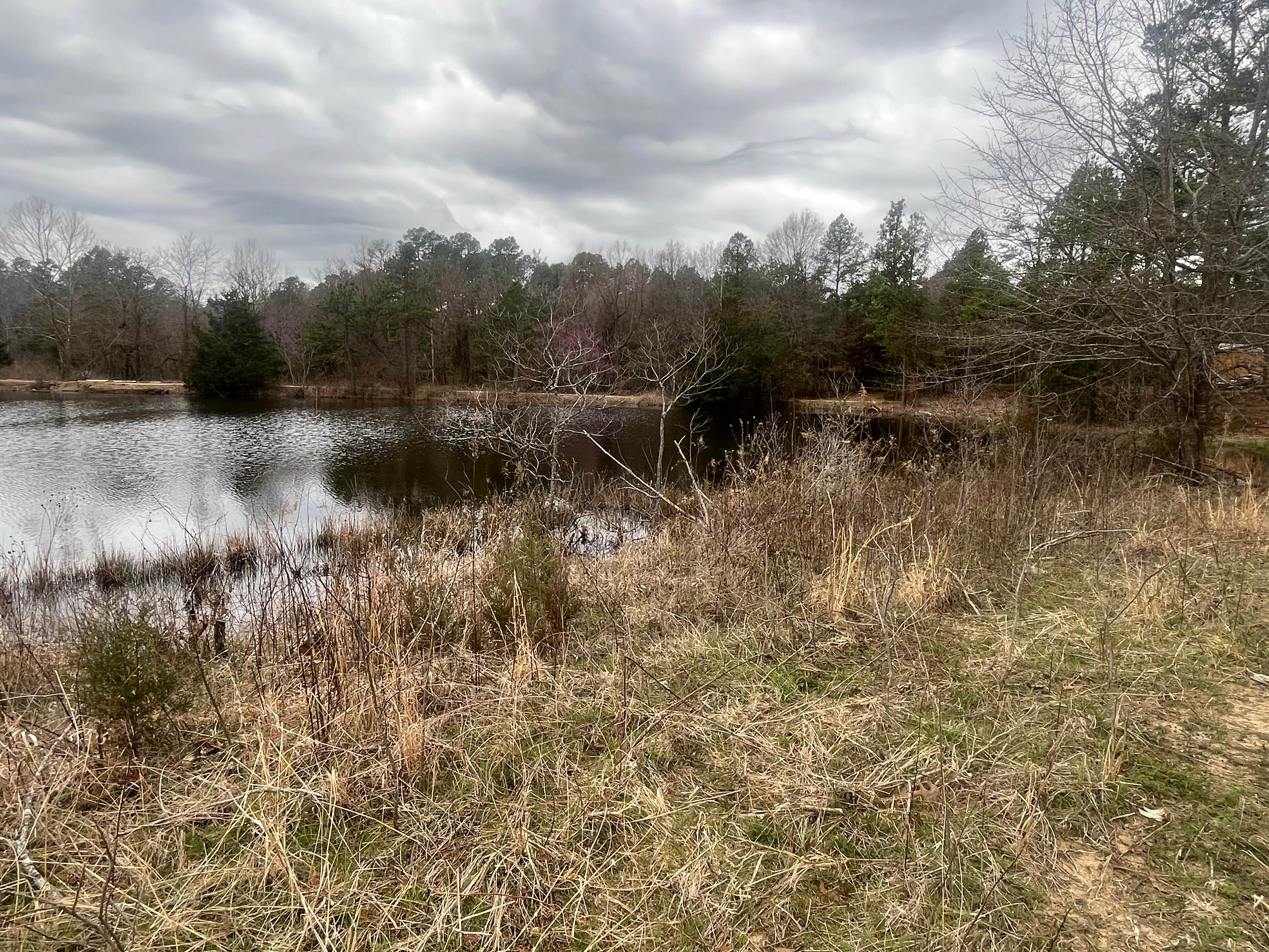 Camper-submitted photo at 3 Ponds Primitive Campsite near Mansfield, AR
