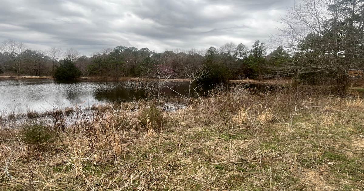 3 Ponds Primitive Campsite