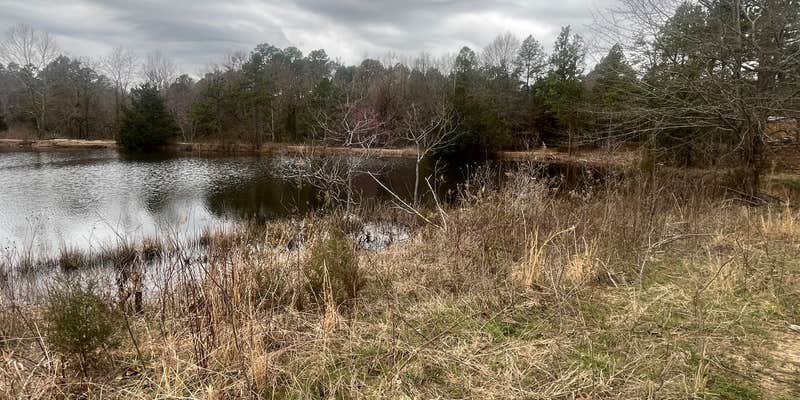 Camper submitted image from 3 Ponds Primitive Campsite