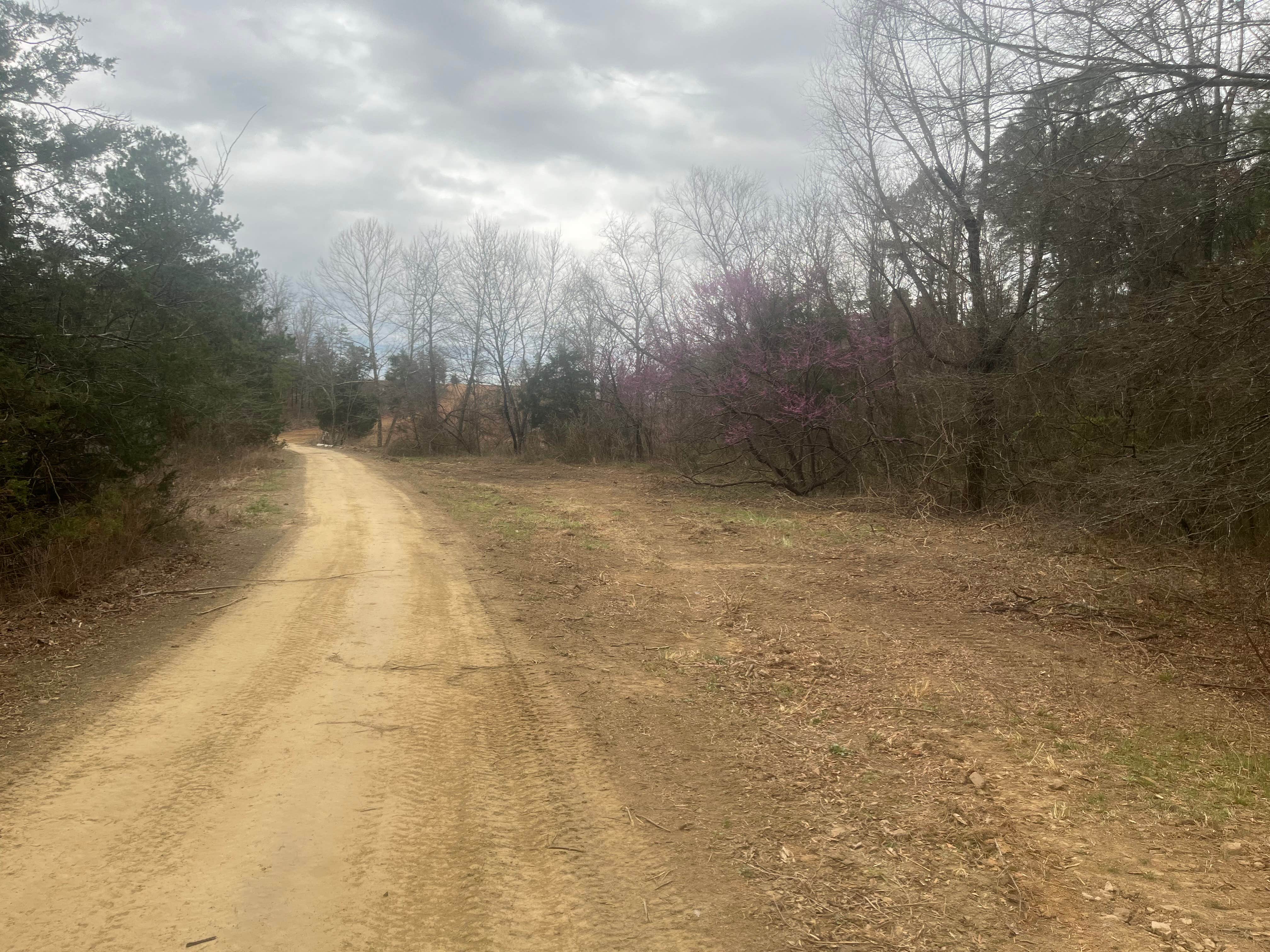 Camper-submitted photo at 3 Ponds Primitive Campsite near Mansfield, AR
