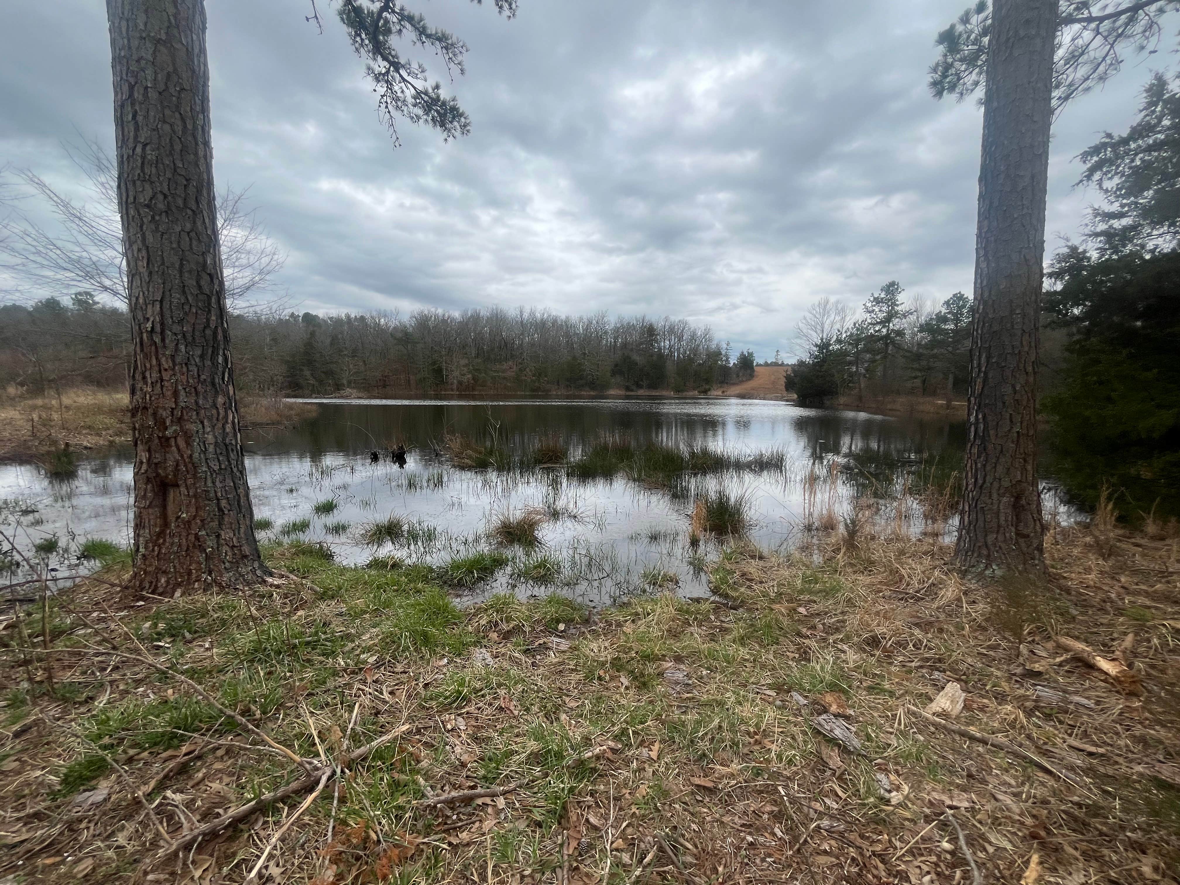 Camper-submitted photo at 3 Ponds Primitive Campsite near Mansfield, AR