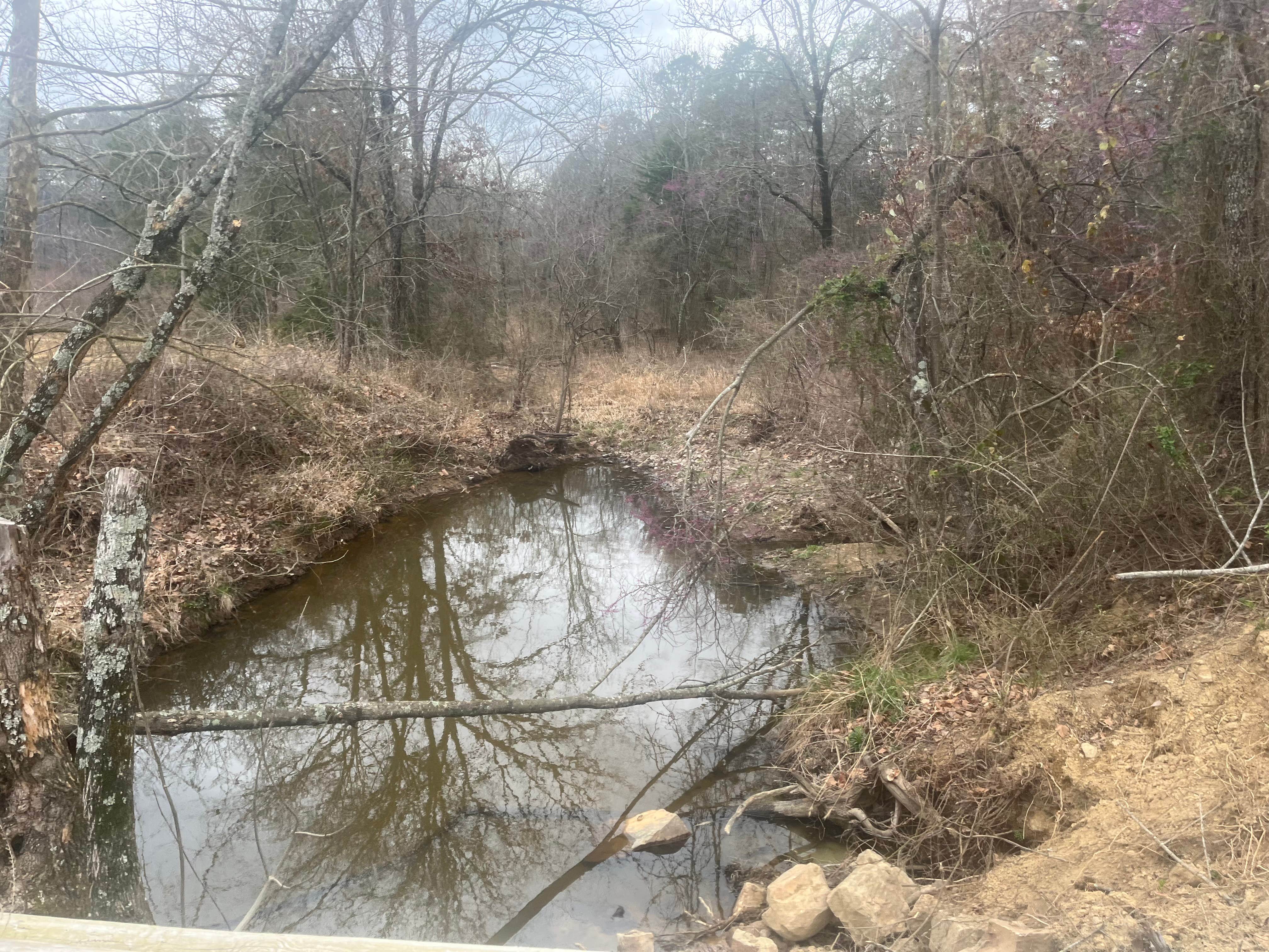 Camper-submitted photo at 3 Ponds Primitive Campsite near Mansfield, AR