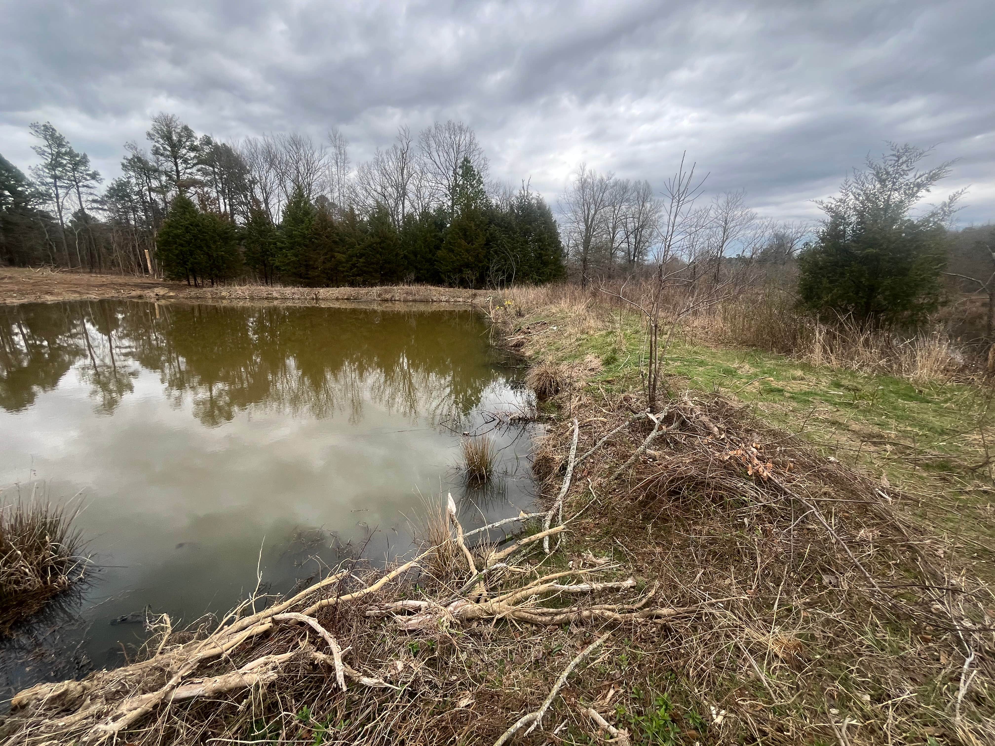 Camper-submitted photo at 3 Ponds Primitive Campsite near Mansfield, AR
