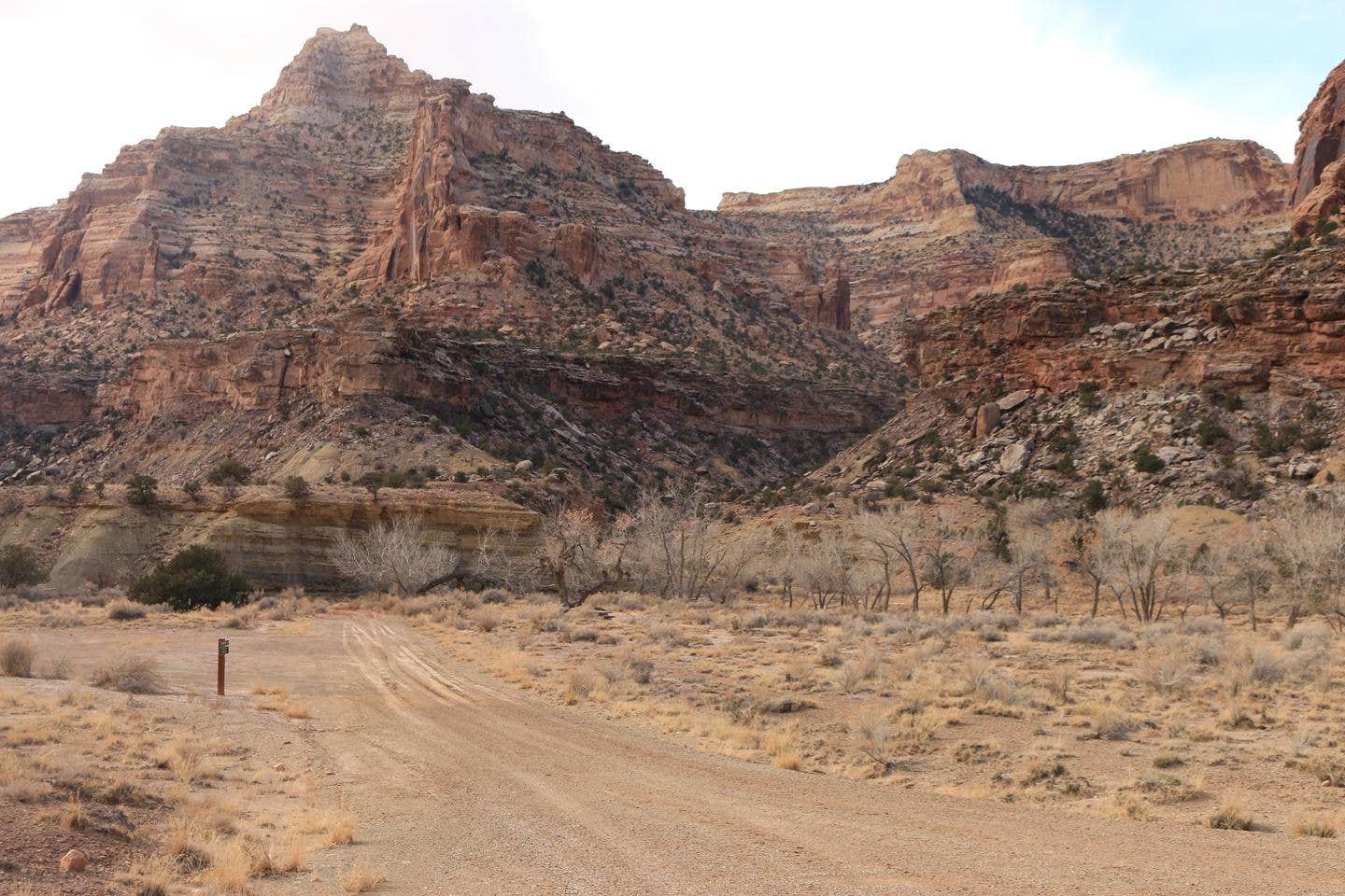 Camper submitted image from Buckhorn Draw Campground - 3