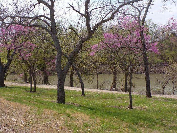 Camper submitted image from Neosho - 2