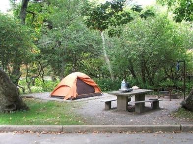 Camper submitted image from Mount Pisgah Campground - 1