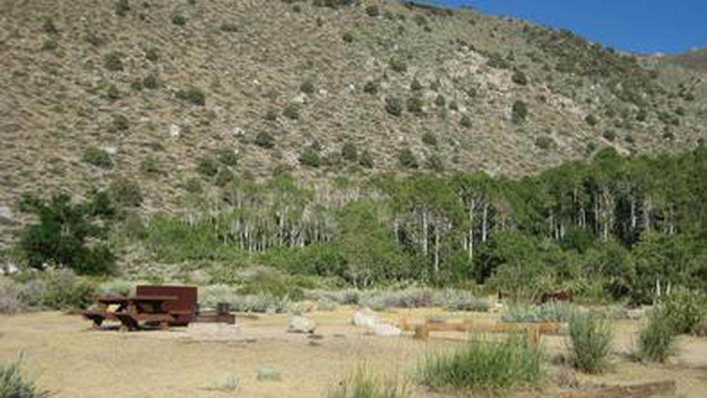 Camper submitted image from Four Jeffrey Campground - 3