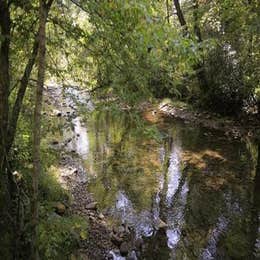 North Mills River