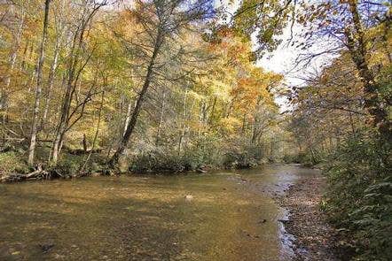 Camper submitted image from Standing Indian Campground - 1