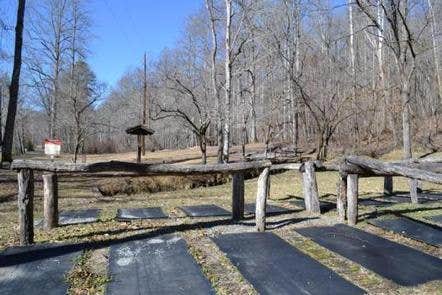 Camper submitted image from Tow String Horse Camp — Great Smoky Mountains National Park - 5