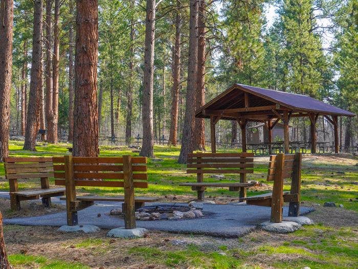 Camper submitted image from Larry Creek Group Campground - 1