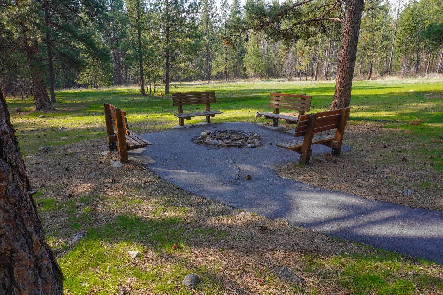 Camper submitted image from Larry Creek Group Campground - 2