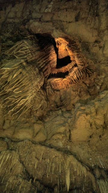 Meramec State Park Campground