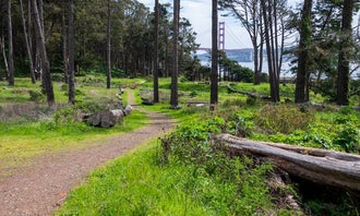 Camping near Rustic View Cabins at Steep Ravine — Mount Tamalpais State Park: Kirby Cove Campground — Golden Gate National Recreation Area, Sausalito, California