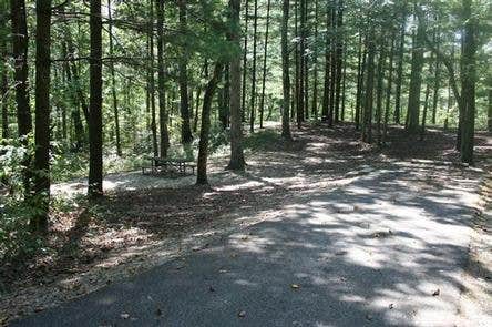 Paddle creek horse clearance camp