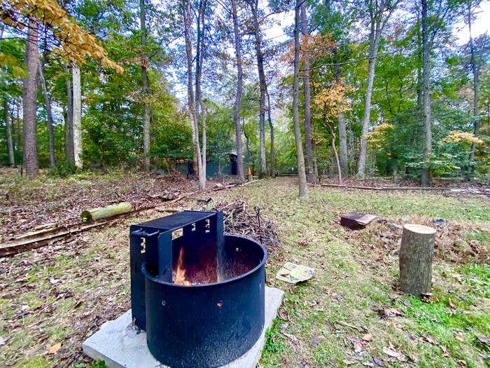 Camper submitted image from Greenbelt Park Campground — Greenbelt Park - 1