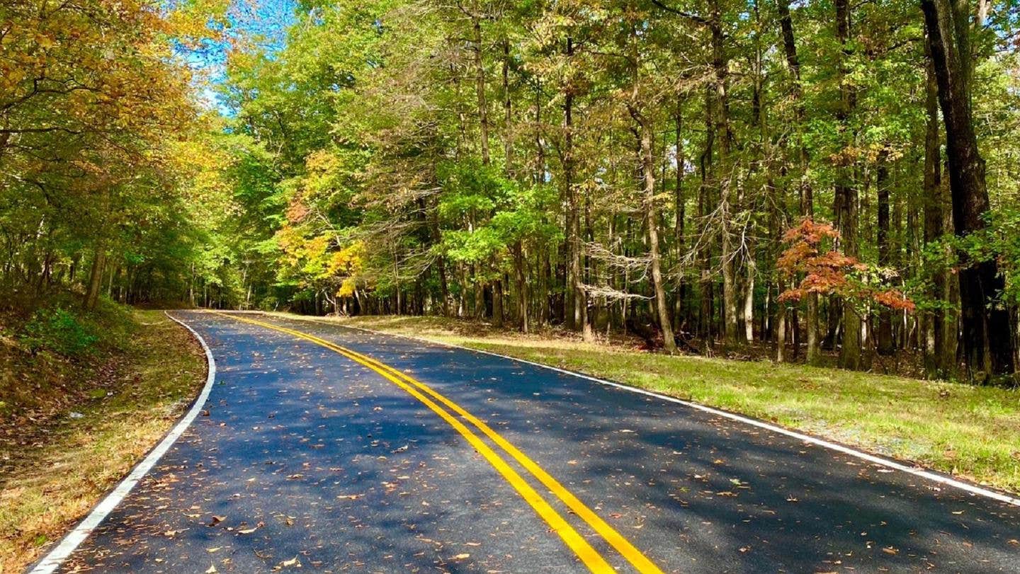 Camper-submitted photo at Greenbelt Park Campground — Greenbelt Park near West Friendship, MD