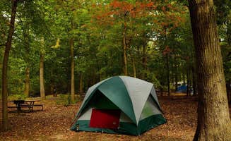 The Dyrt's photo at Greenbelt Park Campground — Greenbelt Park near Jessup, MD