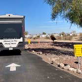 Review photo of Sonoran Desert RV Park by MickandKarla W., March 31, 2024